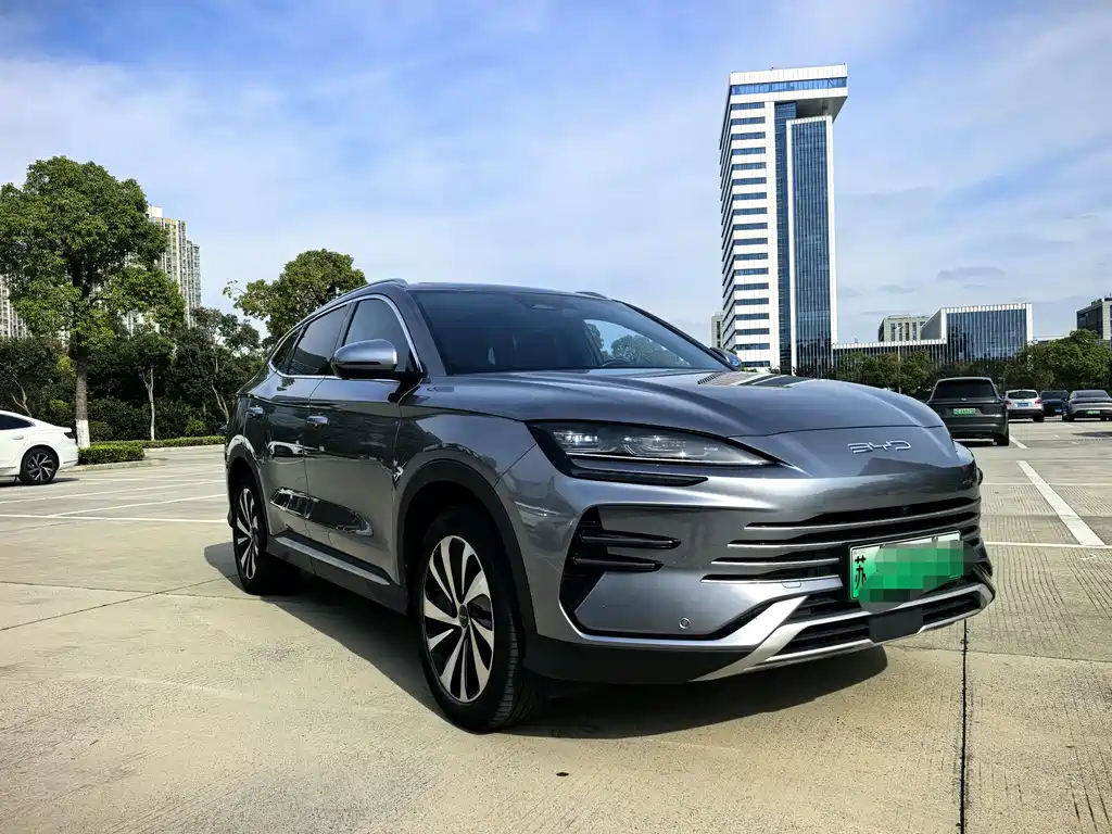 BYD PLUS New Energy 2024 — фото 3