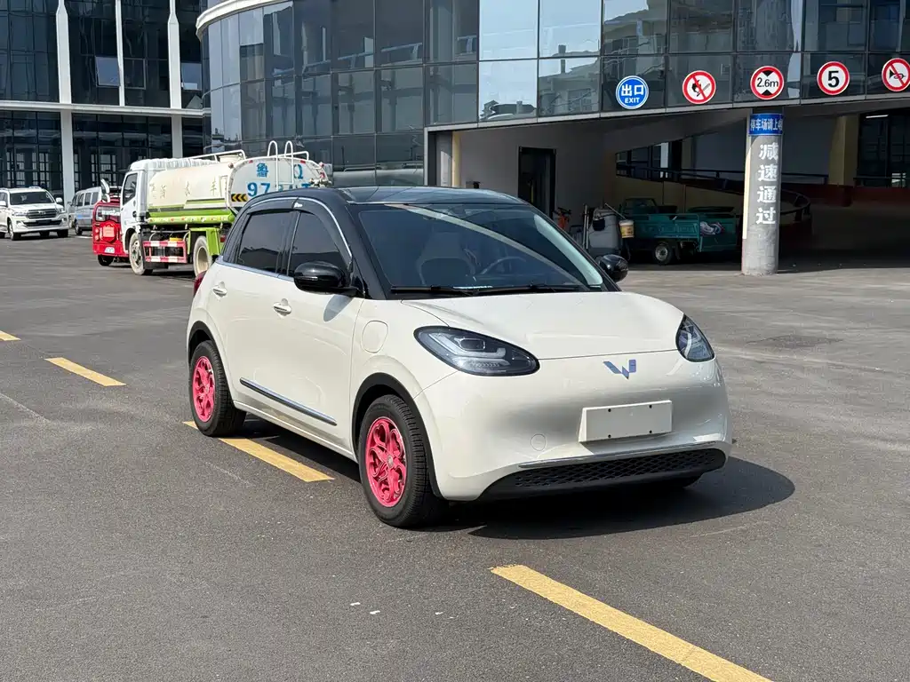 Wuling Bingo 2024