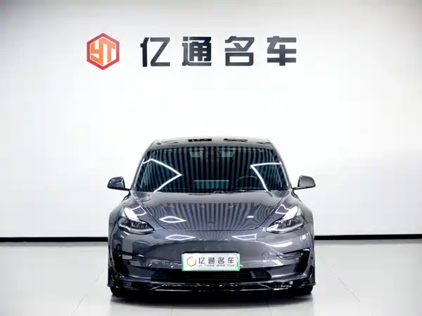 Tesla Model 3 2021