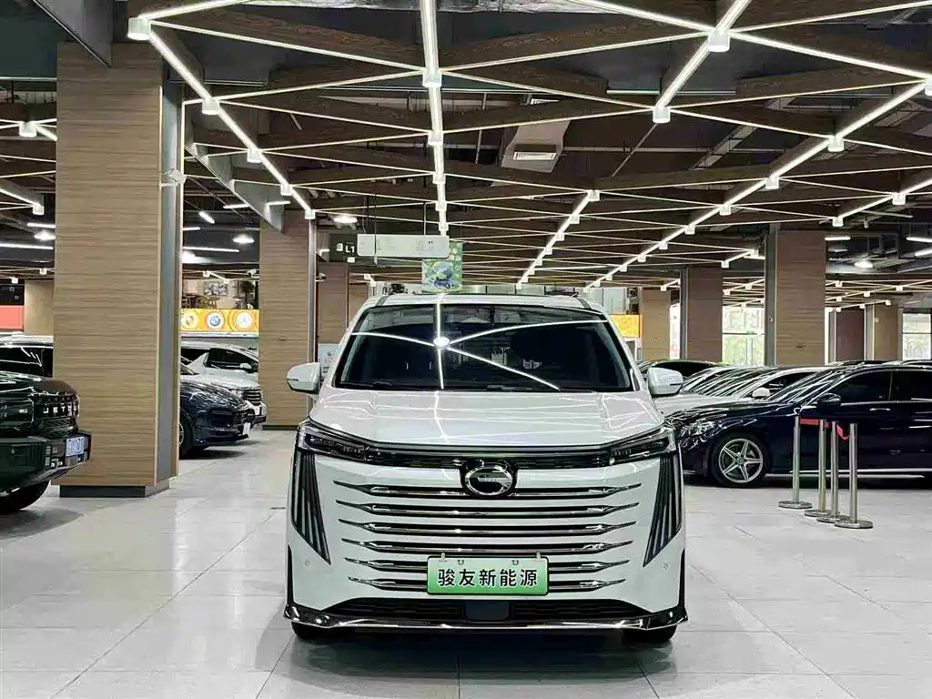 GAC Motor Trumpchi E9 2024 — фото 5