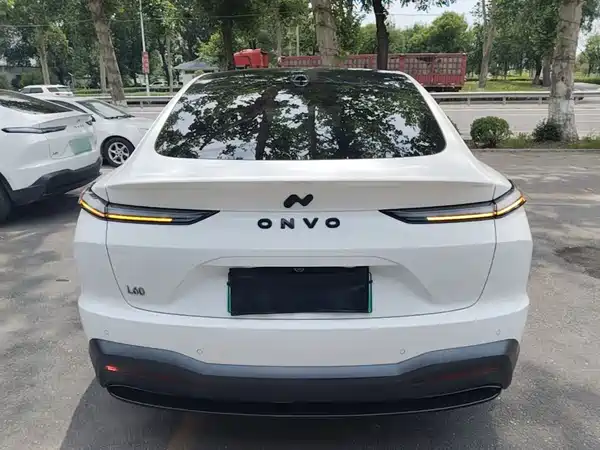 Onvo L60 2024