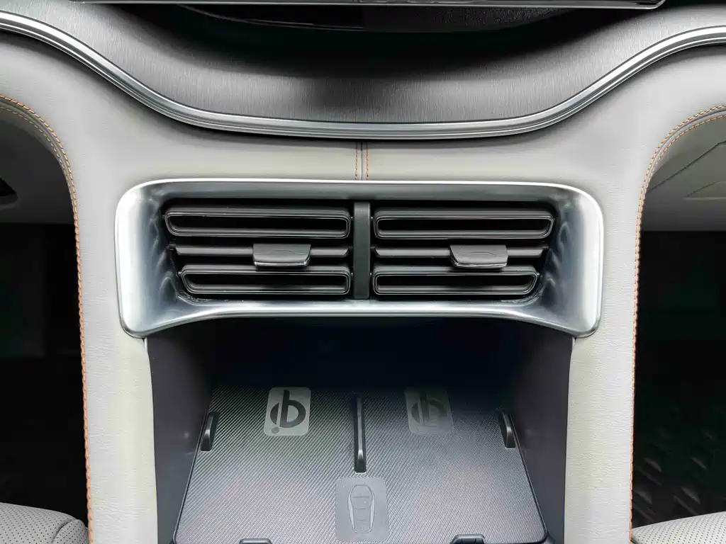 BYD PLUS New Energy 2023 — фото 19
