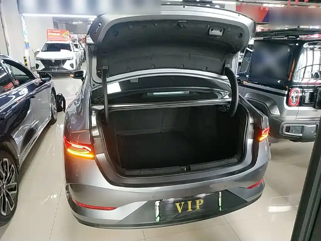 BYD Qin PLUS 2025 — фото 19