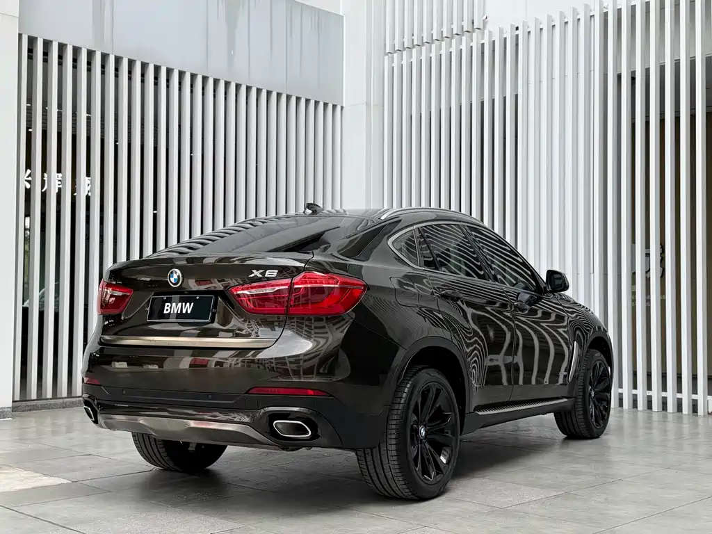 BMW X6 2019 — фото 13
