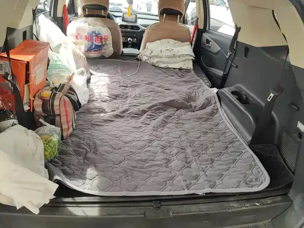 Dongfeng Scenery S560 2019