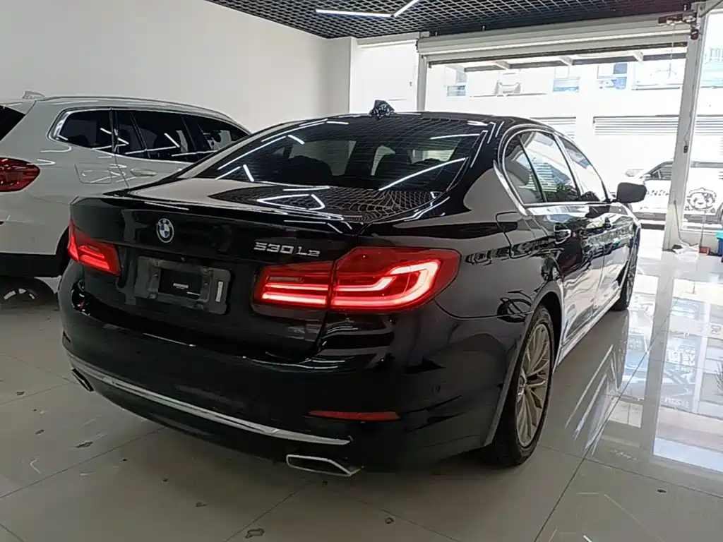 BMW 5 Series New Energy 2020