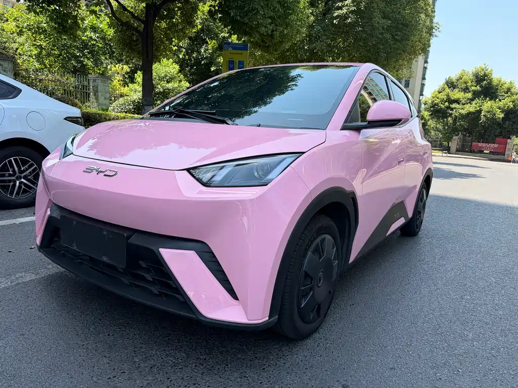 BYD Seagull 2024