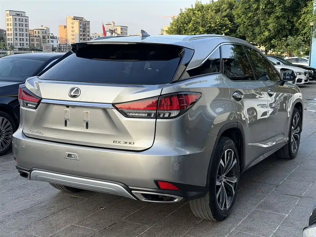 Lexus RX 2020 — фото 4