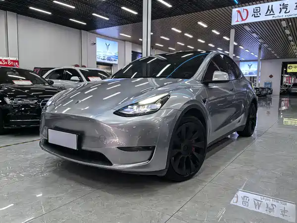 Tesla Model Y 2022