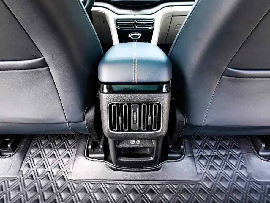 BYD Song PLUS New Energy 2023 — фото 16