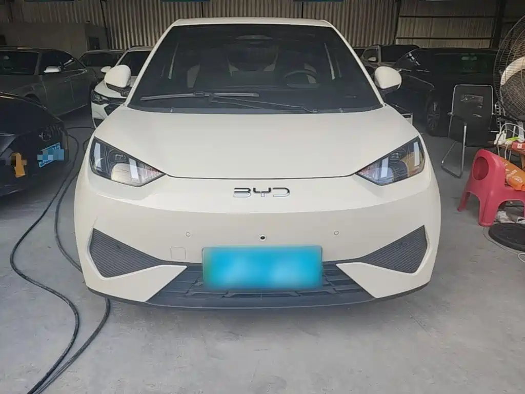 BYD Seagull 2026