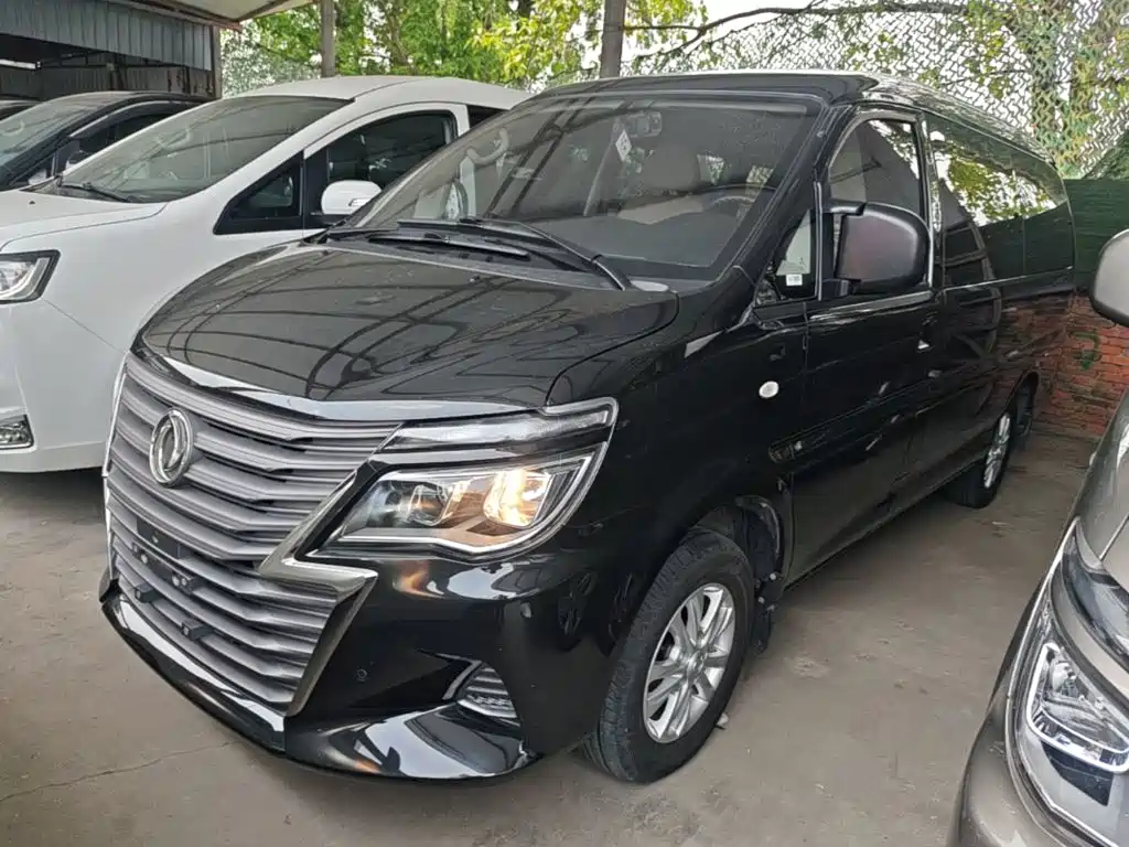 Fengxing Lingzhi 2020