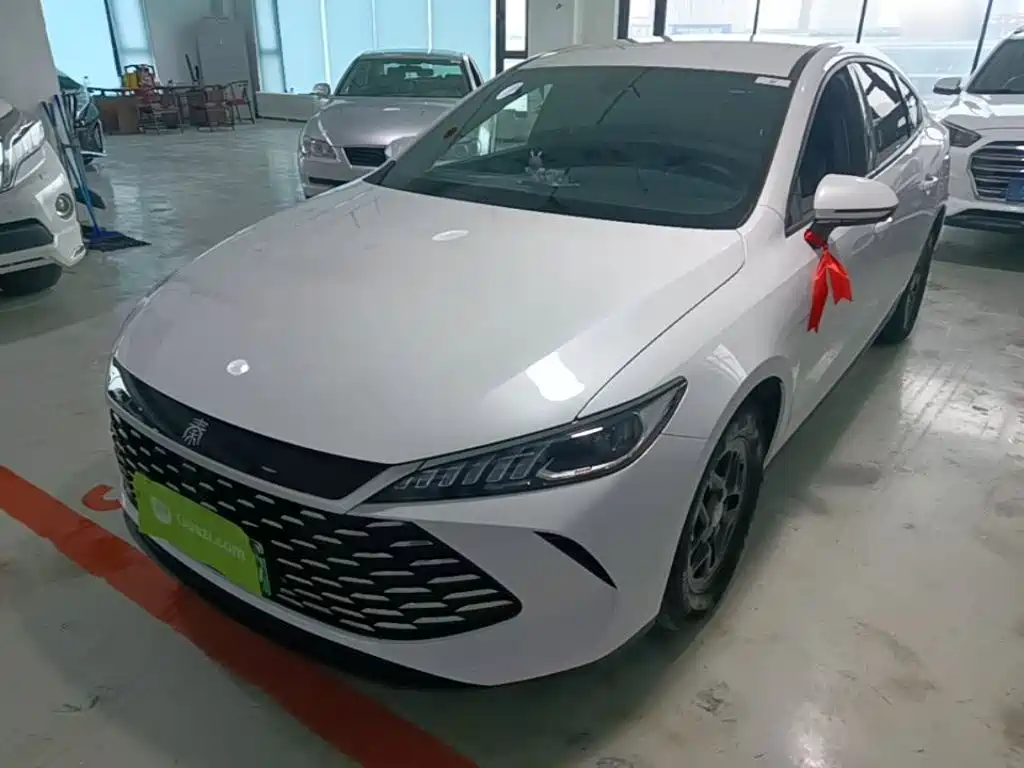 BYD Qin PLUS 2025 — фото 1