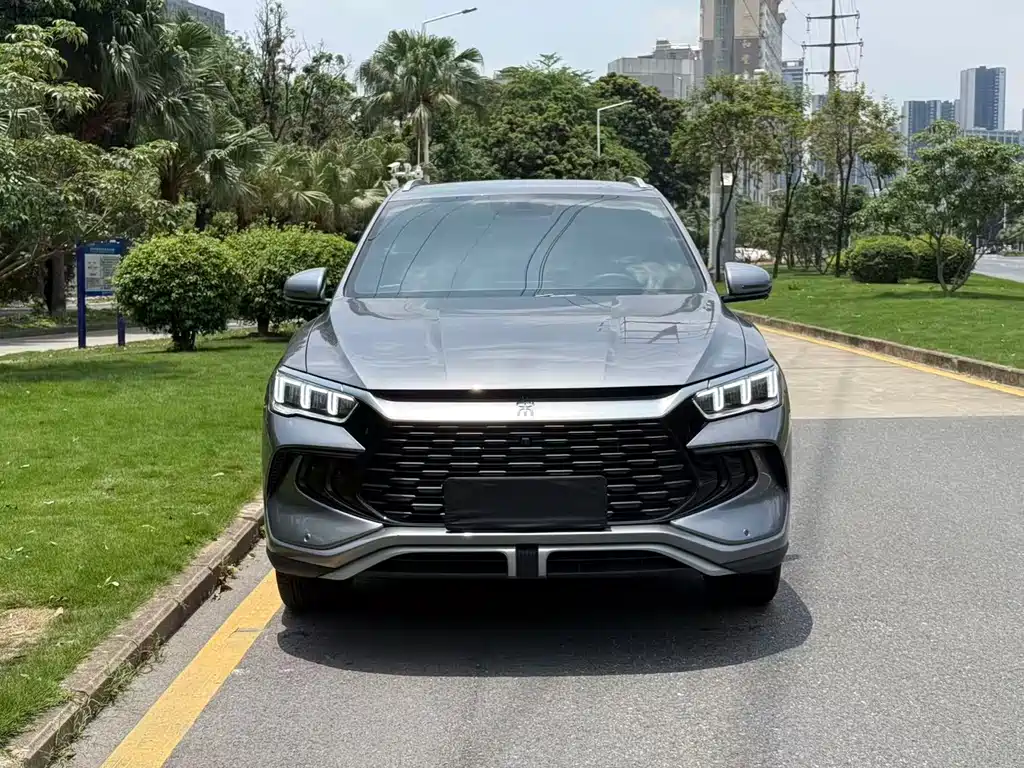 BYD Pro New Energy 2025 — фото 2