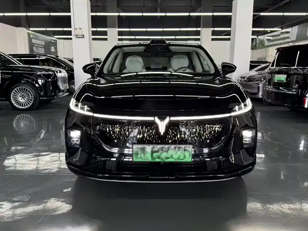 Voyah Zhiyin 2025