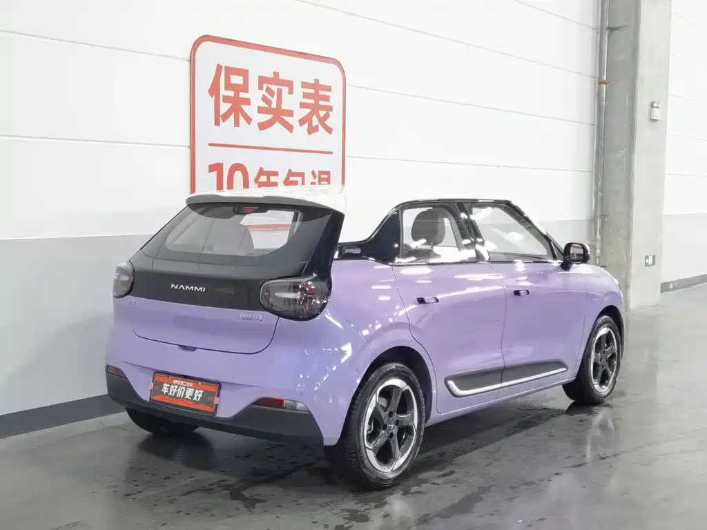 Dongfeng Nano 01 2025