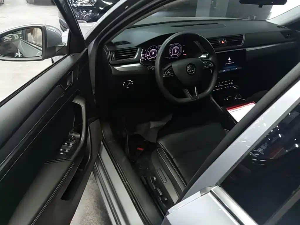Skoda Speedy 2024 — фото 16