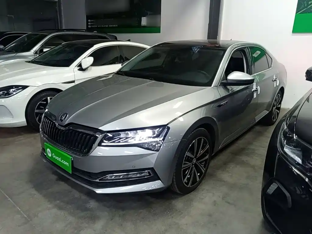 Skoda Speedy 2024