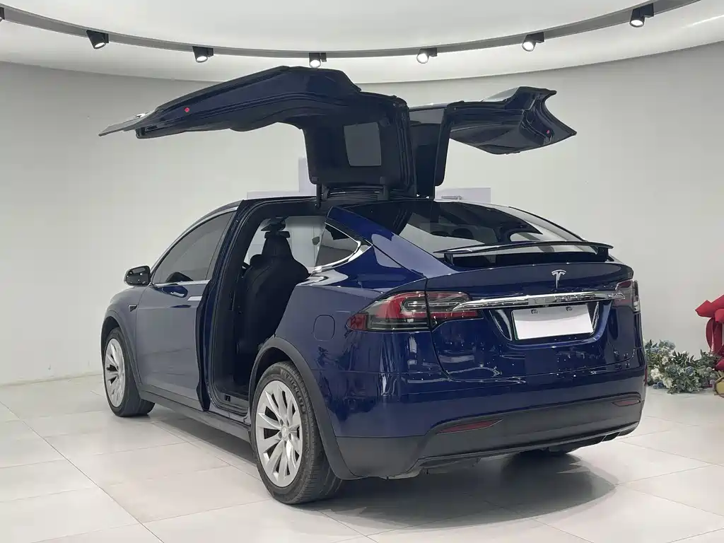 Tesla Model X 2018 — фото 6