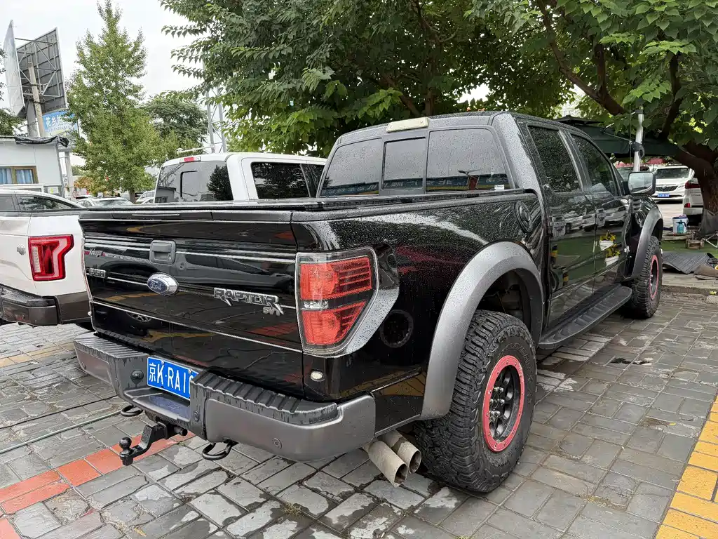 Ford F-150 Raptor 2015 — фото 6