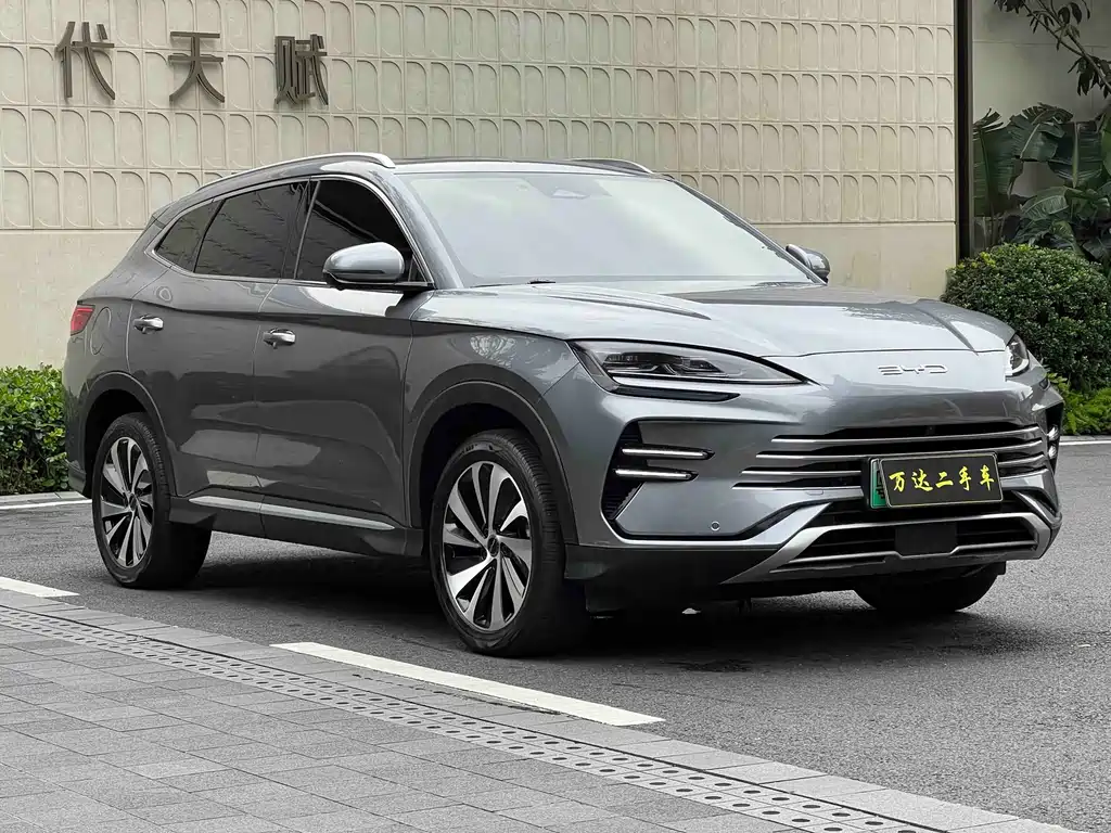 BYD PLUS New Energy 2023 — фото 2