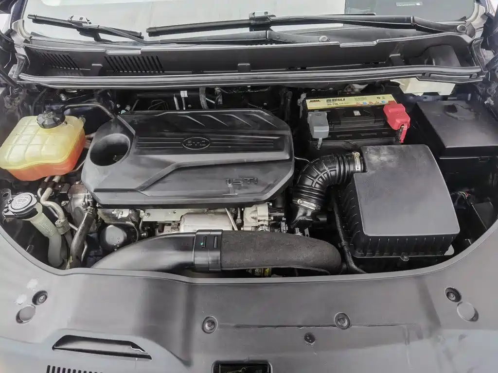 BYD MAX 2019
