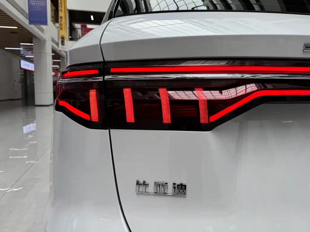 BYD Pro New Energy 2021 — фото 22