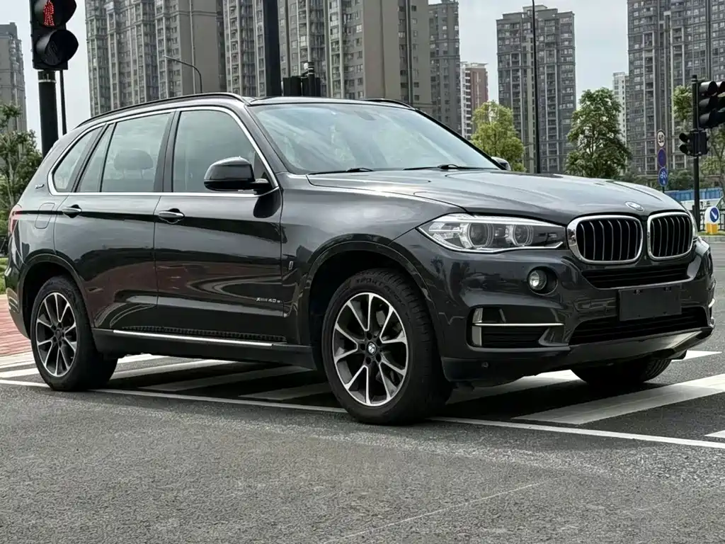 BMW X5 New Energy 2018 — фото 3