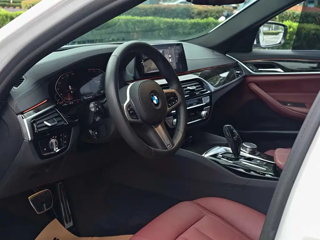 BMW 5 Series 2019 — фото 10