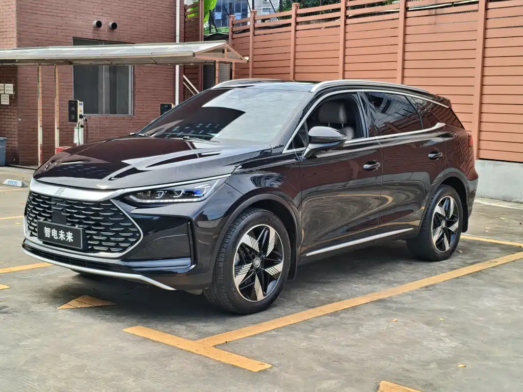 BYD Tang New Energy 2024 — фото 1