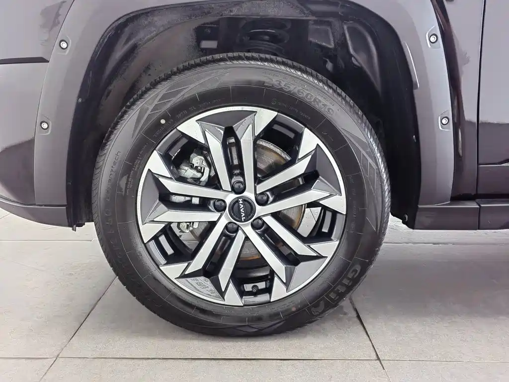 Haval Dog PLUS 2025 — фото 17