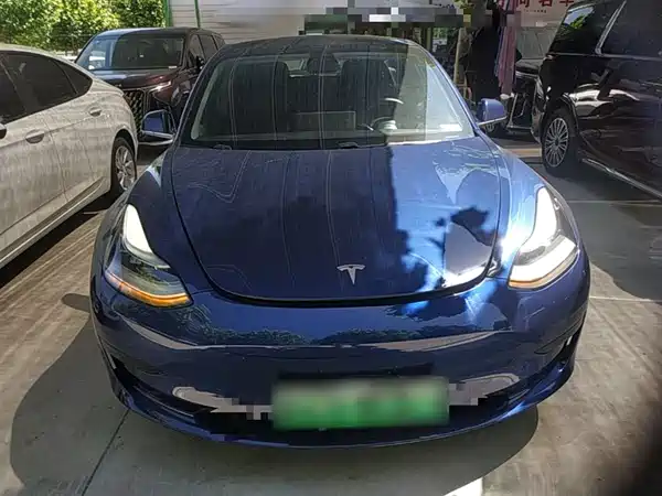 Tesla Model 3 2019