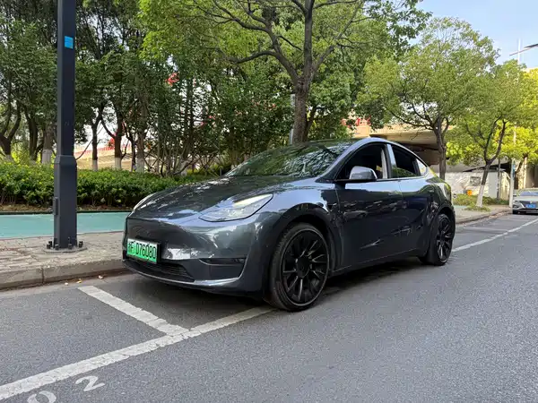 Tesla Model Y 2021