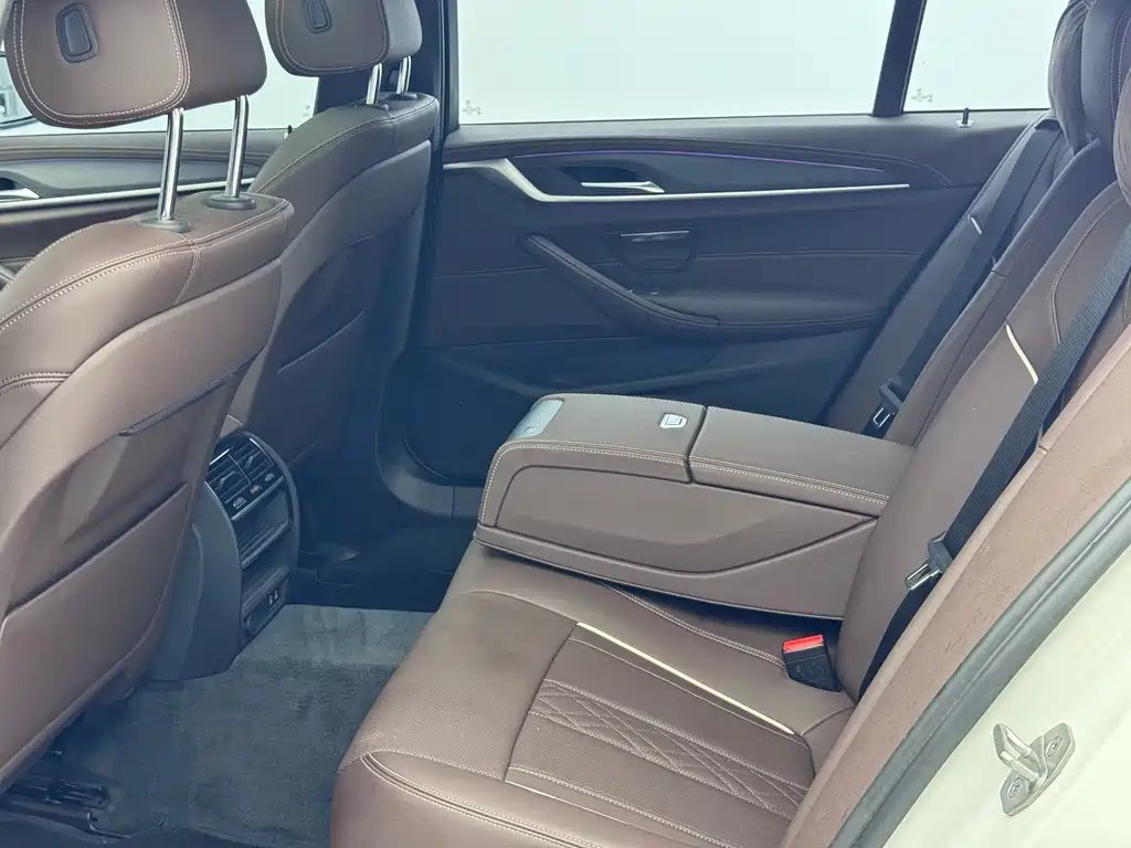 BMW 5 Series New Energy 2022