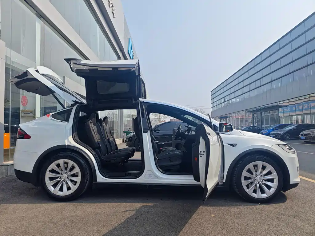 Tesla Model X 2018 — фото 8