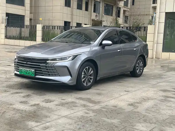 BYD Destroyer 05 2024