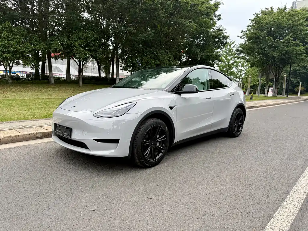 Tesla Model Y 2023 — фото 1