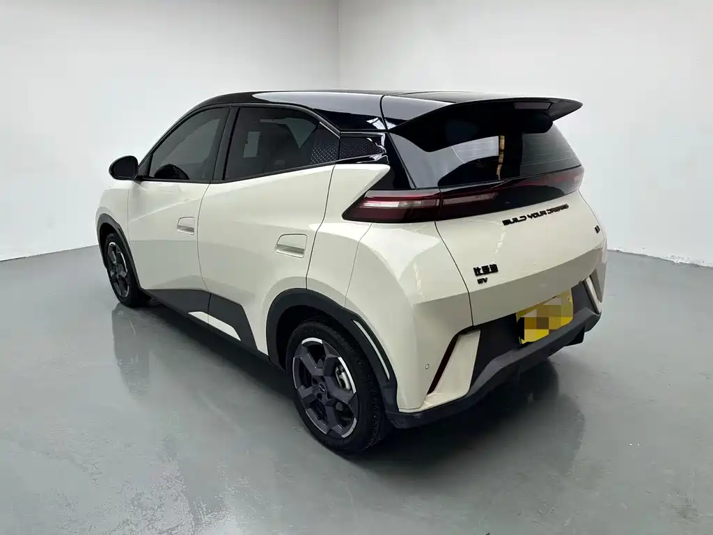BYD Seagull 2024