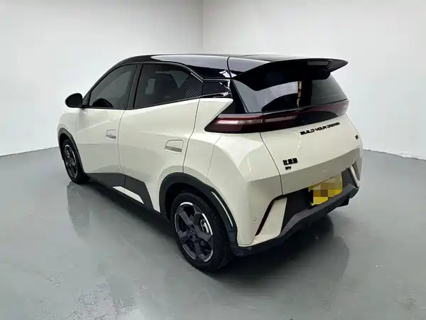 BYD Seagull 2024