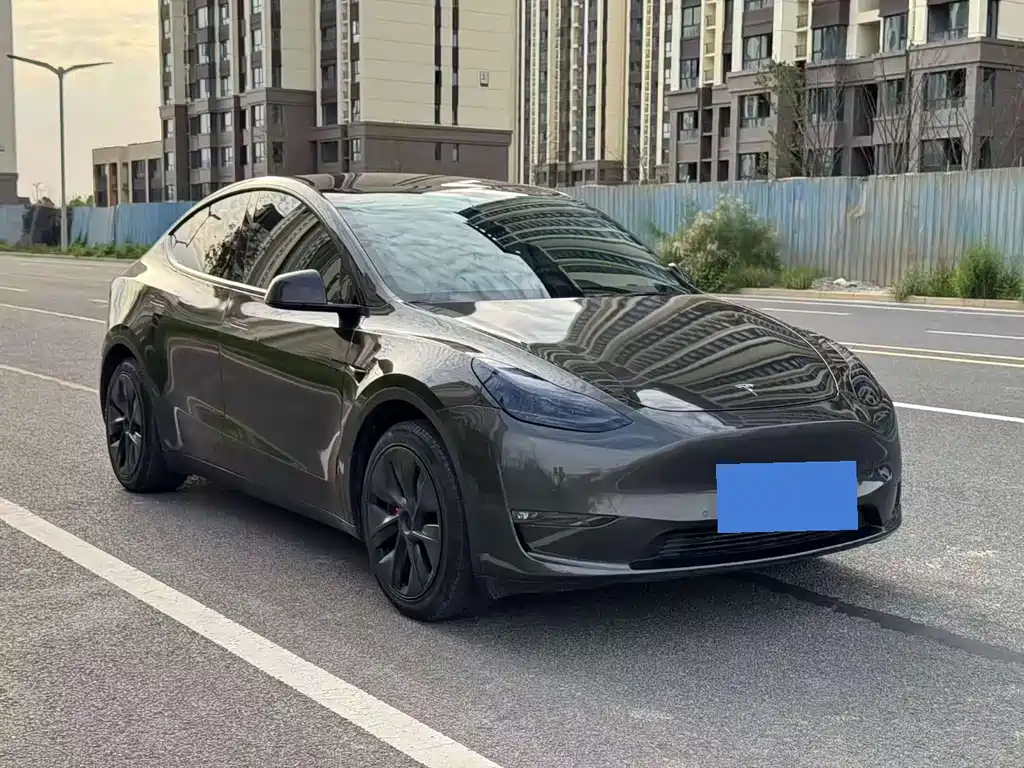 Tesla Model Y 2021 — фото 1