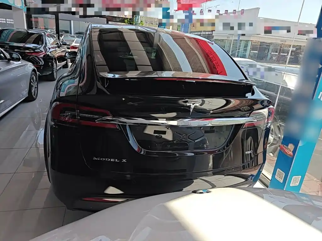 Tesla Model X 2019 — фото 6