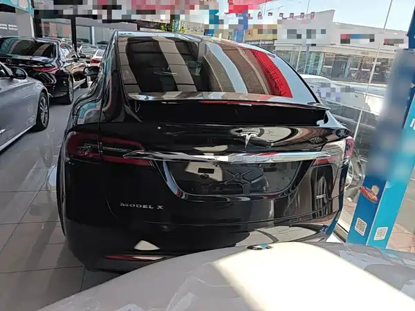 Tesla Model X 2019