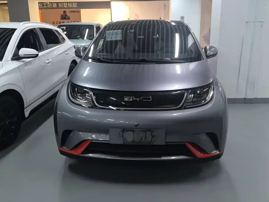 BYD Dolphin 2022