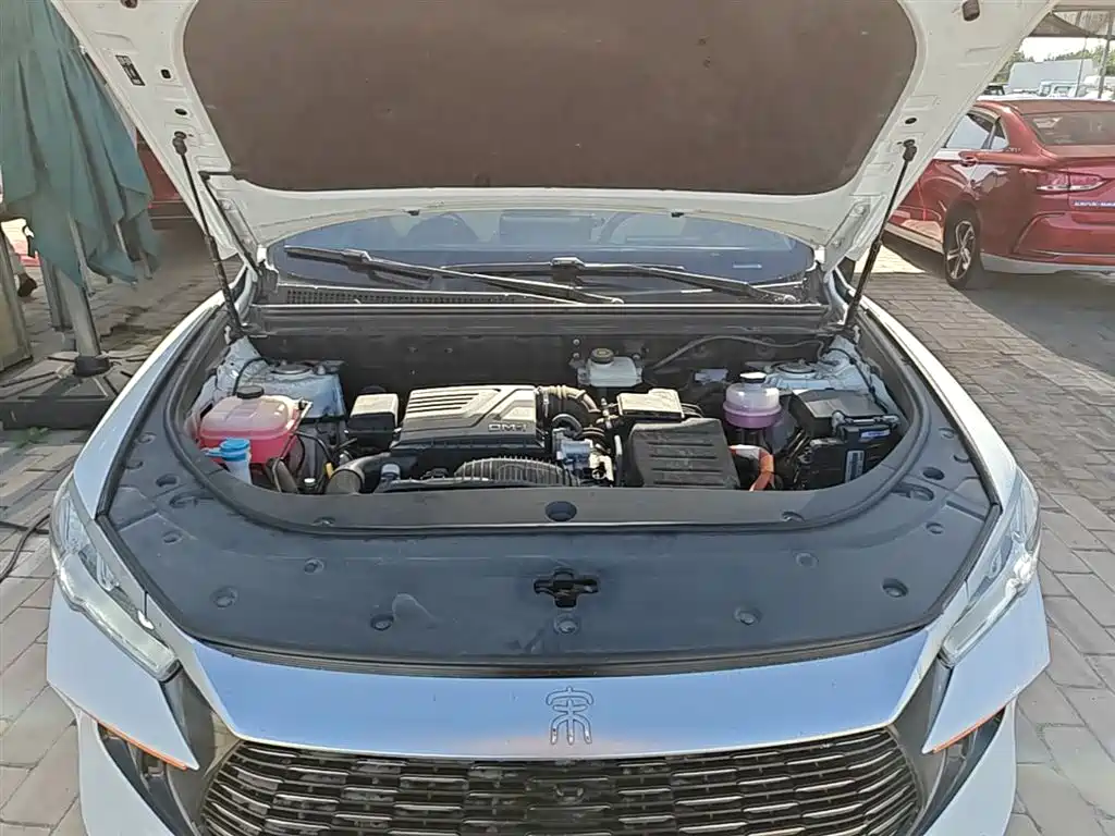 BYD Pro New Energy 2024 — фото 20