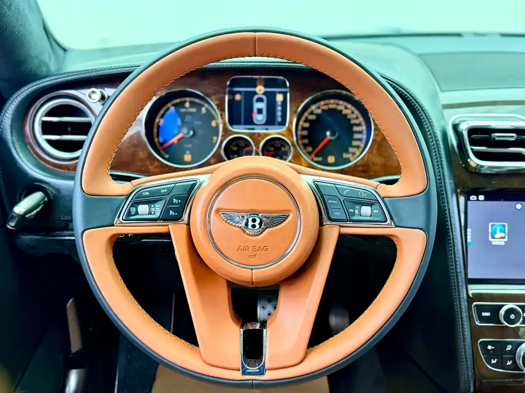 Bentley Flying Spur 2010 — фото 13