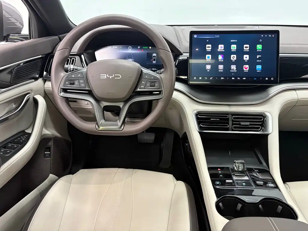 BYD PLUS New Energy 2024 — фото 12