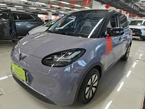 Wuling Bingo 2024