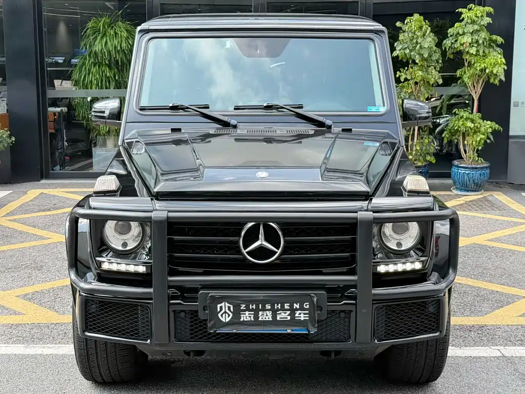 Mercedes-Benz G-Class 2017 — фото 2