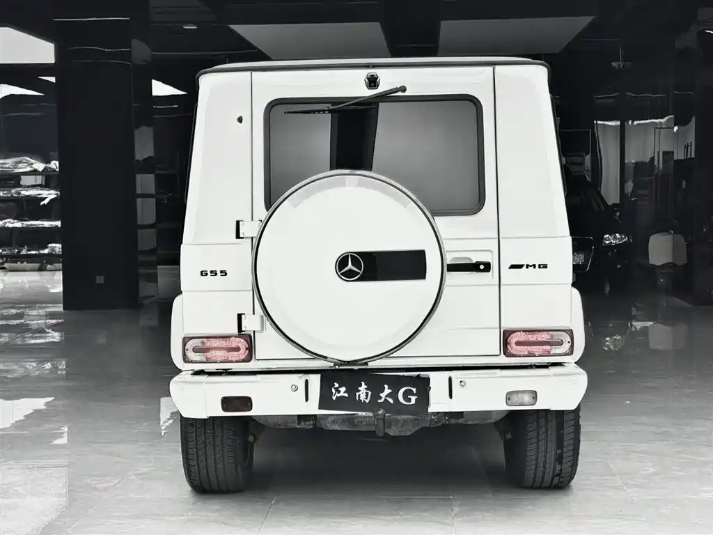 Mercedes-Benz G-Class AMG 2009 — фото 18