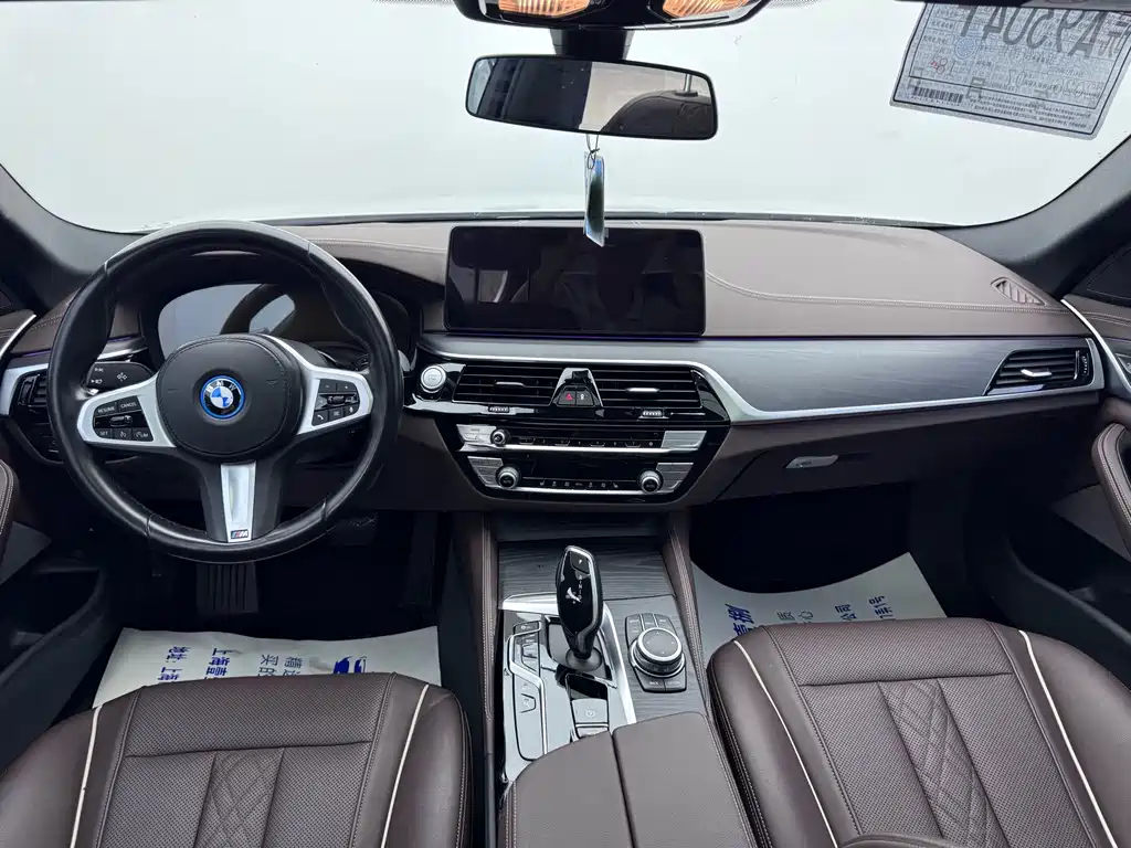 BMW 5 Series New Energy 2022